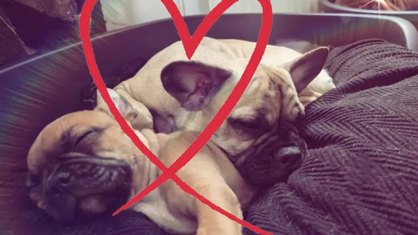 Ruby und Twix